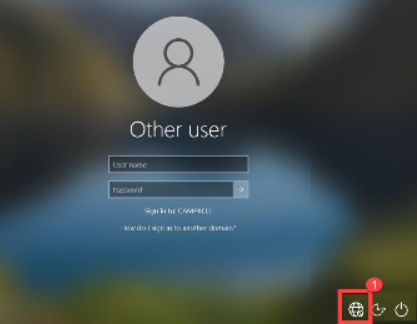 Screenshot of the Windows login screen with the globe icon selected.